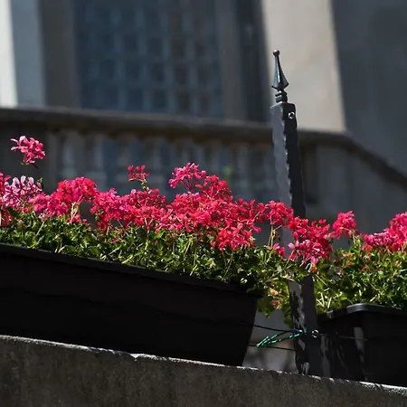 Andrija Apartamento Vrbnik (Primorje-Gorski Kotar)